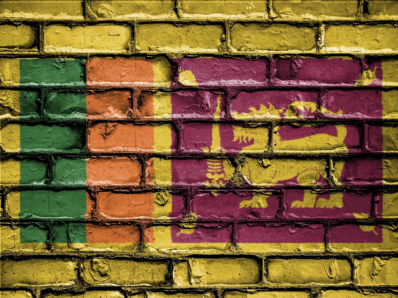 Flag of Sri Lanka (photo credit: David_Peterson via pixabay)