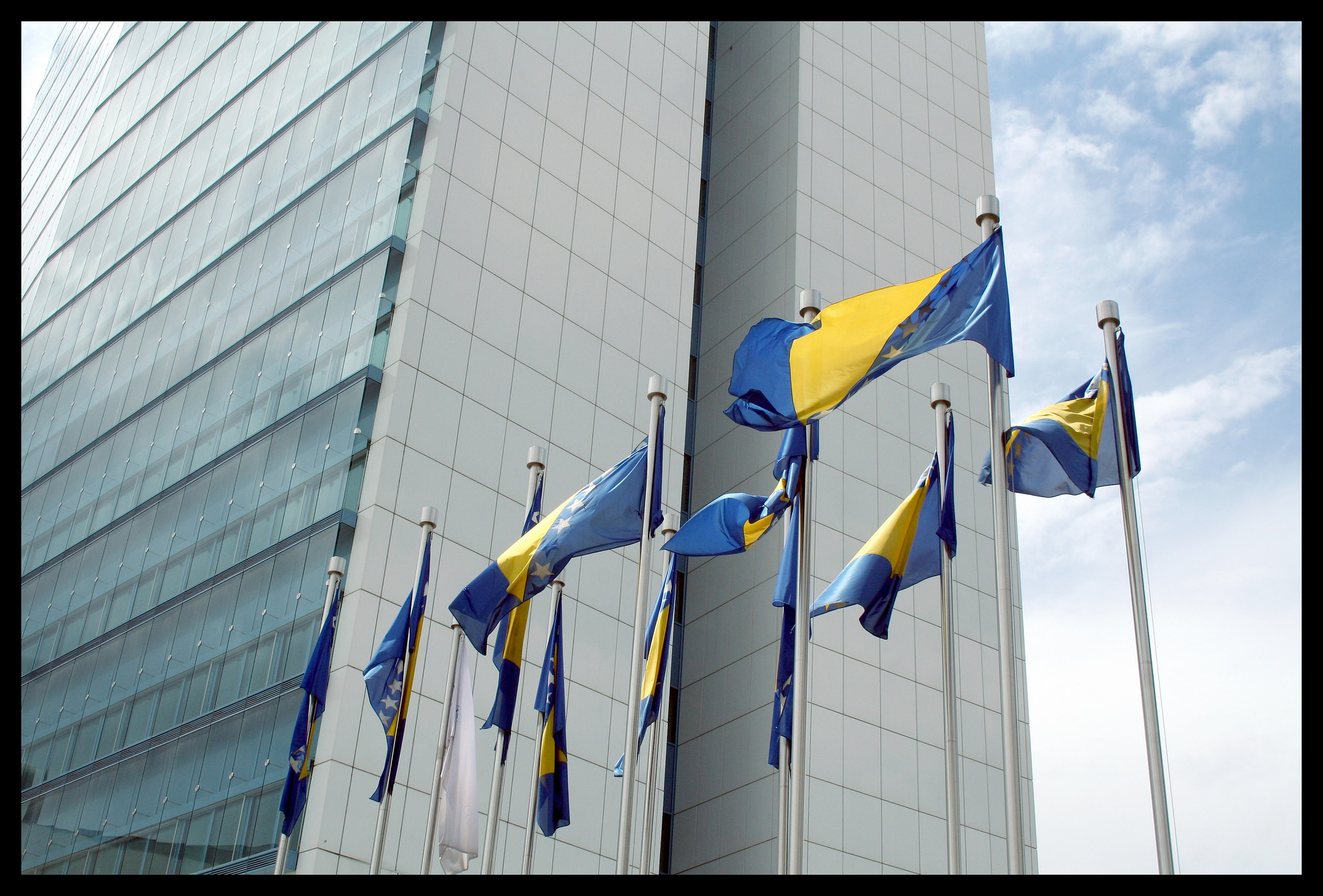 photo credit: chat des Balkans/flickr photo credit: chat des Balkans/flickr