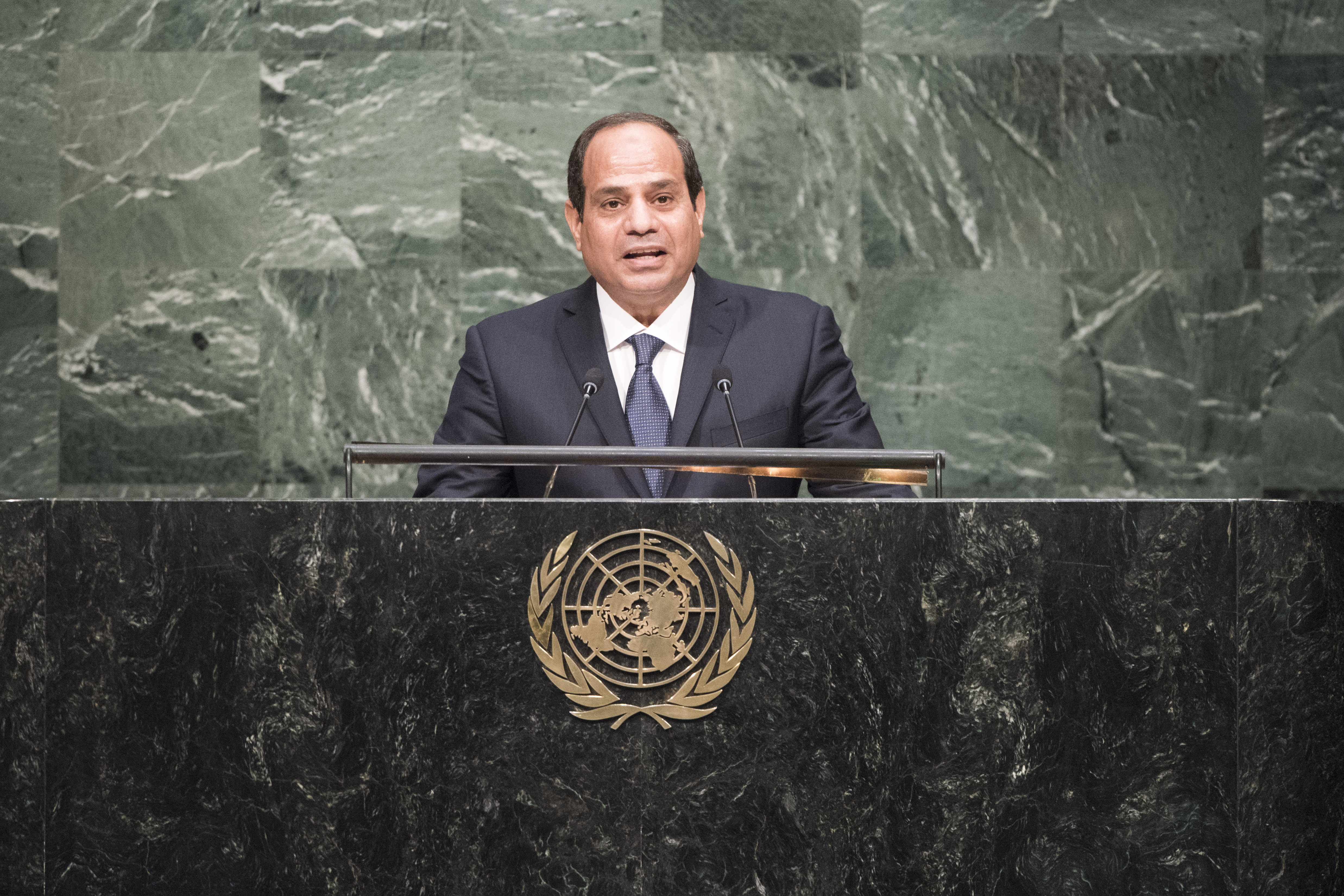 Egyptian President Al Sisi (photo credit: United Nations photo/flickr)