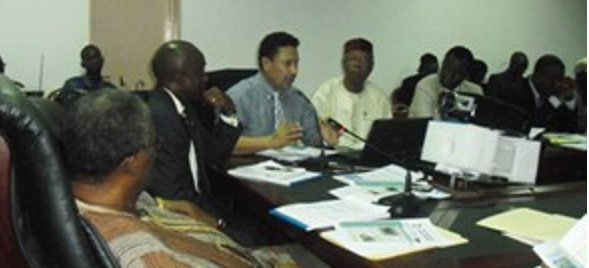 Donors told not to influence constitutional review process Donors told not to influence constitutional review process