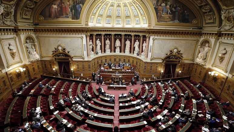 Senate of France (photo credit: Francois Mori / AP Photo) Senate of France (photo credit: Francois Mori / AP Photo)