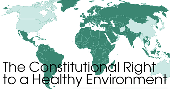 Constitutional Right to a Healthy Environment (photo credit: Law Now)