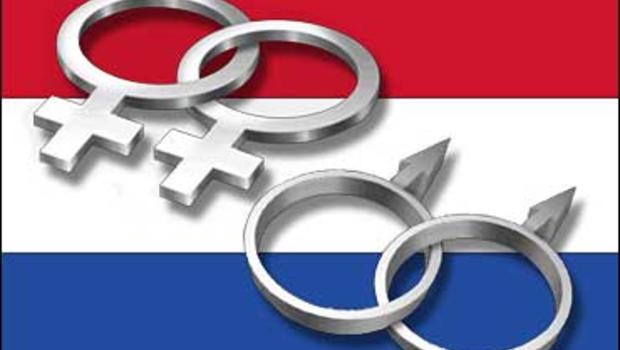 Dutch parliament considers amending constitution to specifically protect gays and persons with disabilities Dutch Flag (photo credit: CBS/AP)