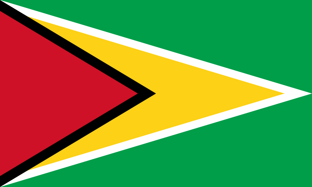 National Flag of Guyana (photo credit: Facts.co) National Flag of Guyana (photo credit: Facts.co)