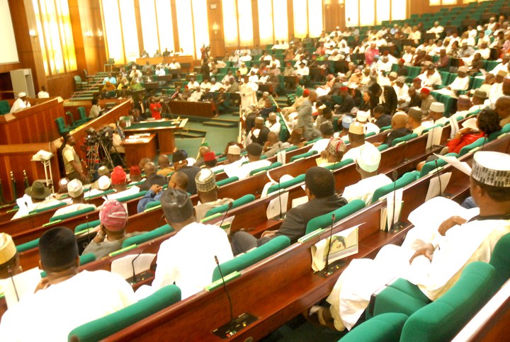 Nigerian House of Representatives (photo credit: Premium Times)