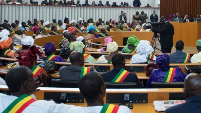 Senegal's National Assembly (photo credit: Journal du Cameroun) Senegal's National Assembly (photo credit: Journal du Cameroun)