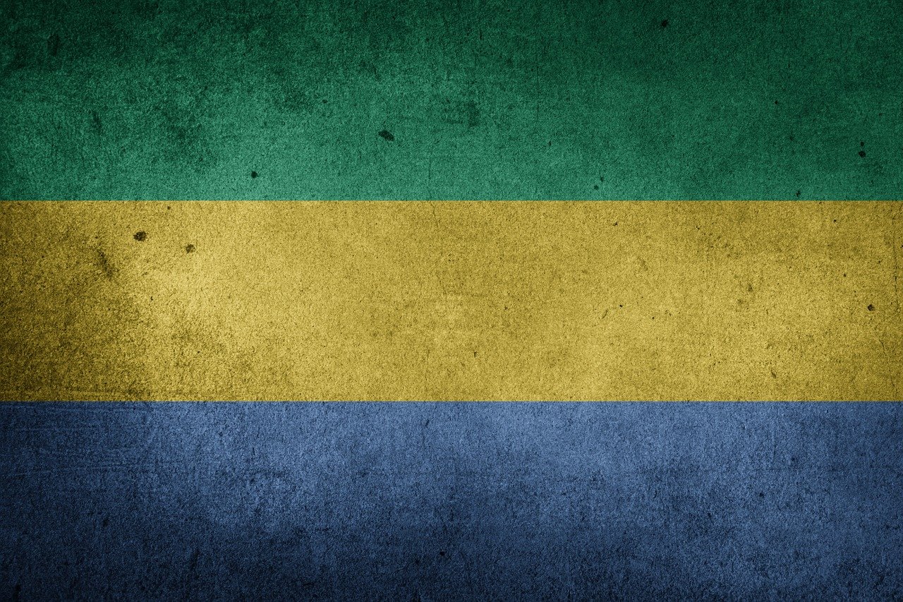 Flag of Gabon (photo credit: Chickenonline via pixabay) Flag of Gabon (photo credit: Chickenonline via pixabay)