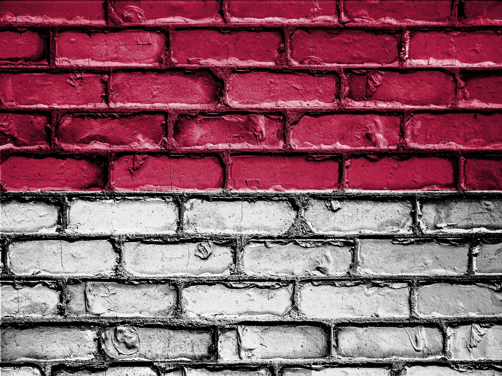Flag of Indonesia (photo credit: pixabay) Flag of Indonesia (photo credit: pixabay)