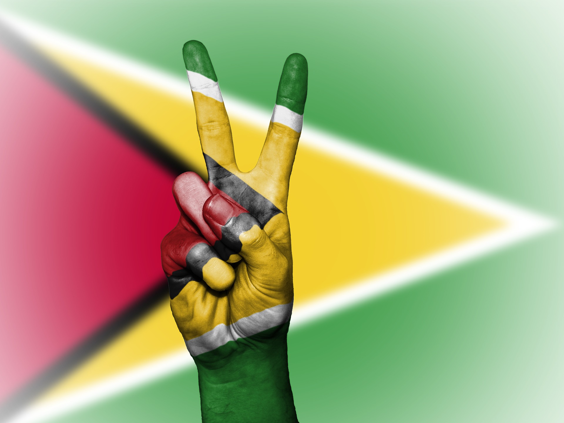 The flag of Guyana (Photo credit: Flickr) The flag of Guyana (Photo credit: Flickr)