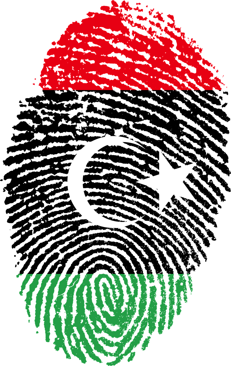 المسودة النهائية لدستور ليبيا دراسة عيانية المسودة النهائية لدستور ليبيا دراسة عيانية