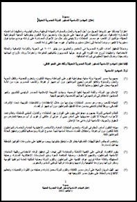 مصـر: مسودة إعلان المبادئ الأساسیة لدستور الدولة المصریة الحدیثة - نوفمبر/تشرين الثاني 2011 