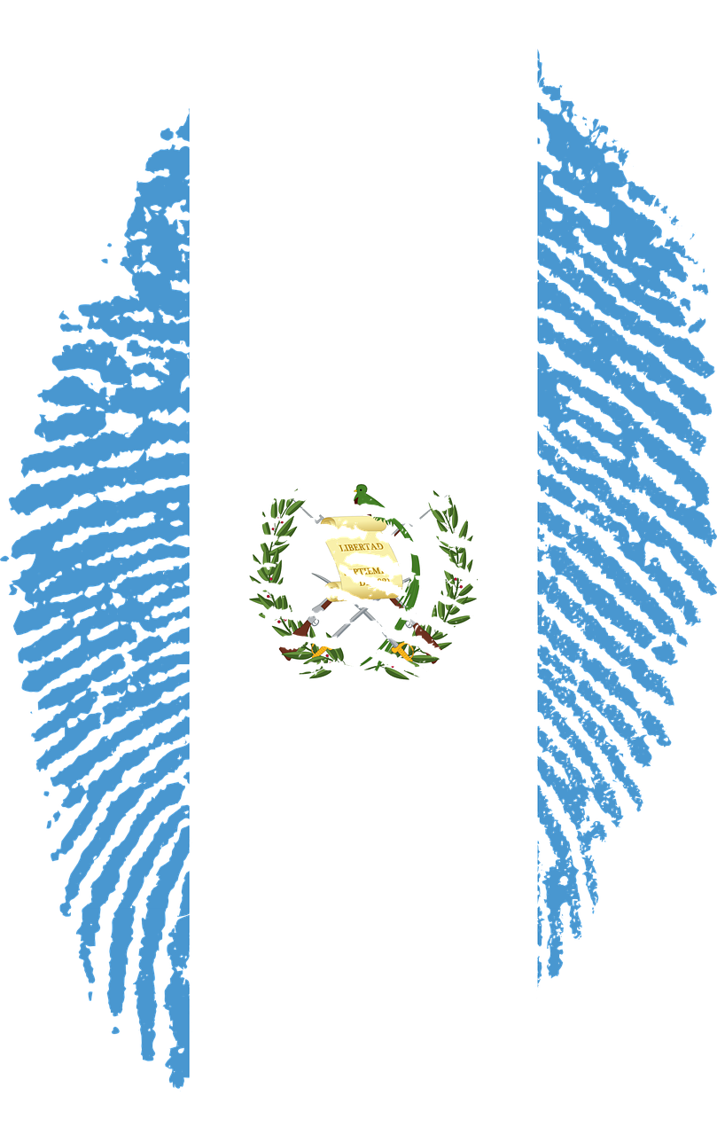 IDEA: The Role of Constitution-Building Processes in Democratization - Case Study Guatemala IDEA: The Role of Constitution-Building Processes in Democratization - Case Study Guatemala