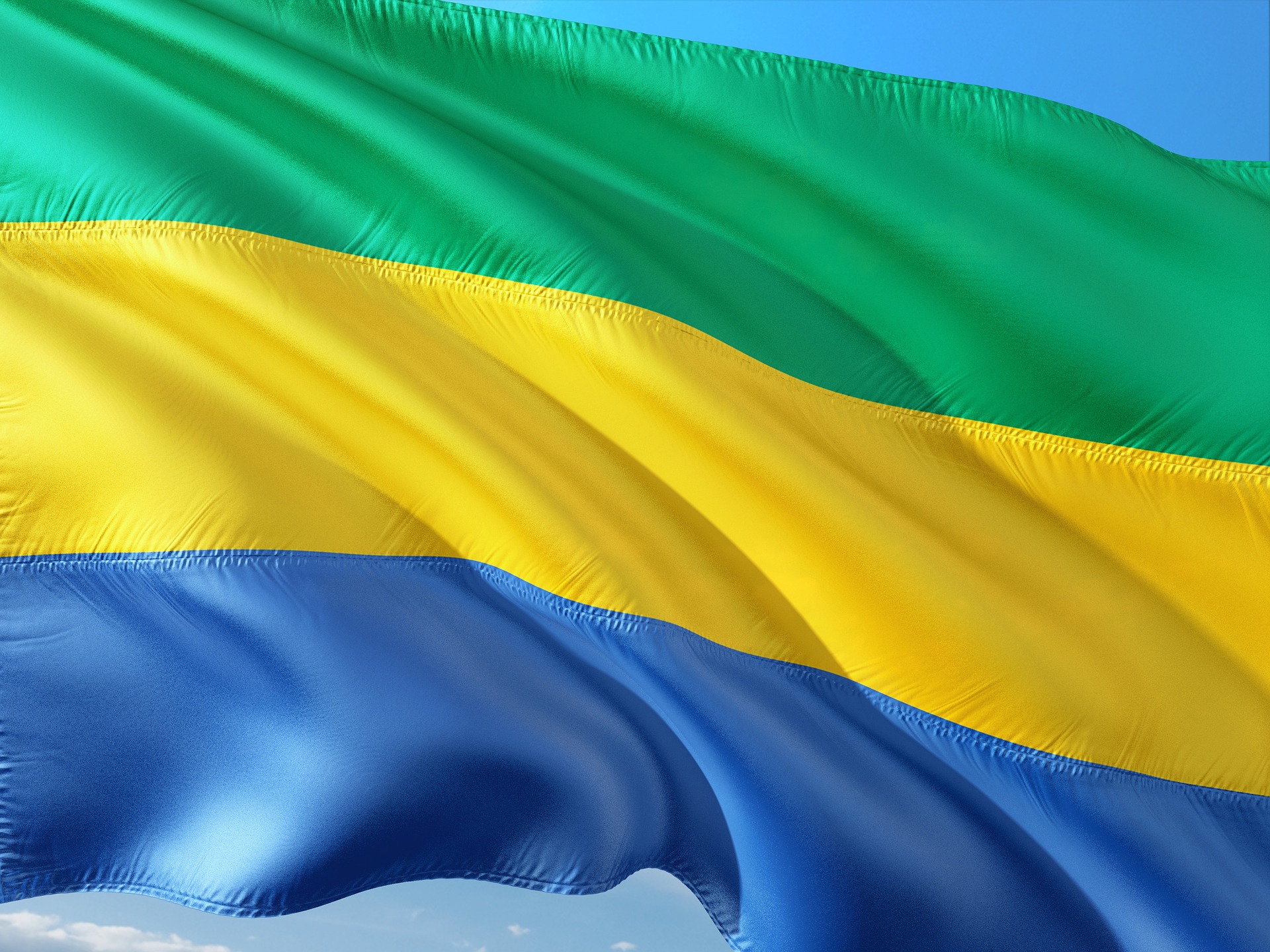 Flag of Gabon (photo credit: pixabay) Flag of Gabon (photo credit: pixabay)