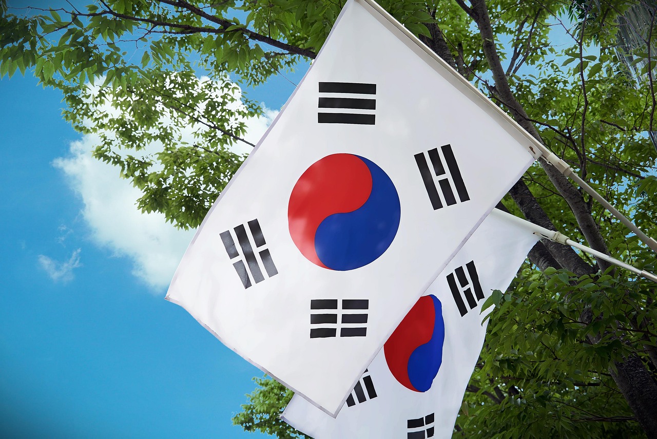 Flag of Korea (photo credit: Big_Heart via pixabay) Flag of Korea (photo credit: Big_Heart via pixabay)