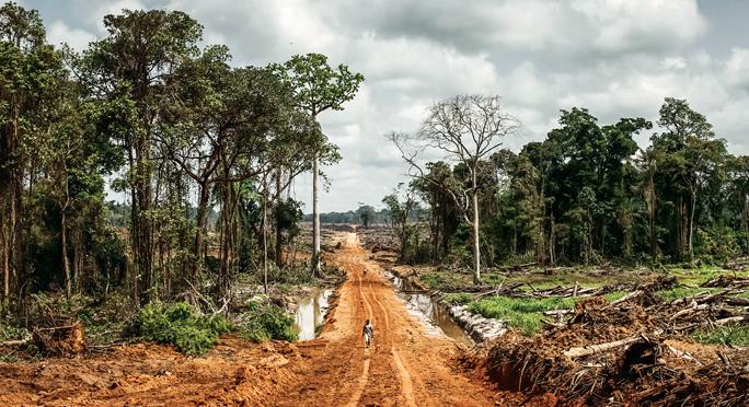 A land rights policy approved in 2013 recognises  the rights of rural communities over community land but critics argue that it is inadequate