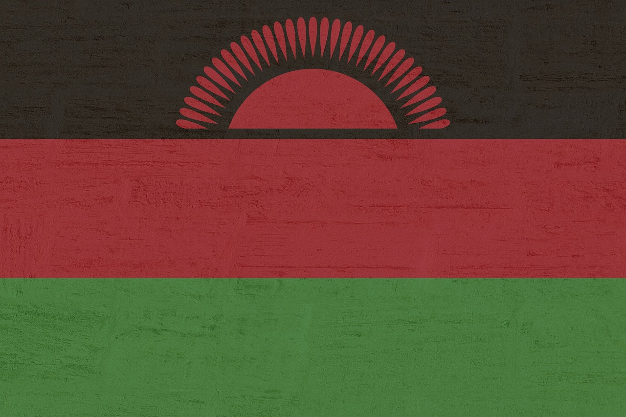 Flag of Malawi (photo credit: Kaufdex via pixabay) Flag of Malawi (photo credit: Kaufdex via pixabay)