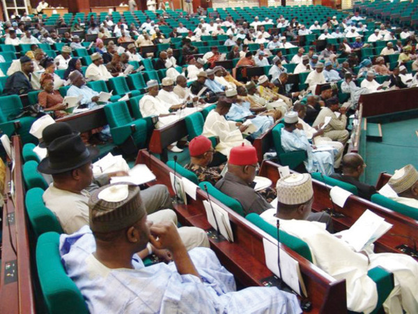 Nigerian House of Representatives (photo credit: Today)