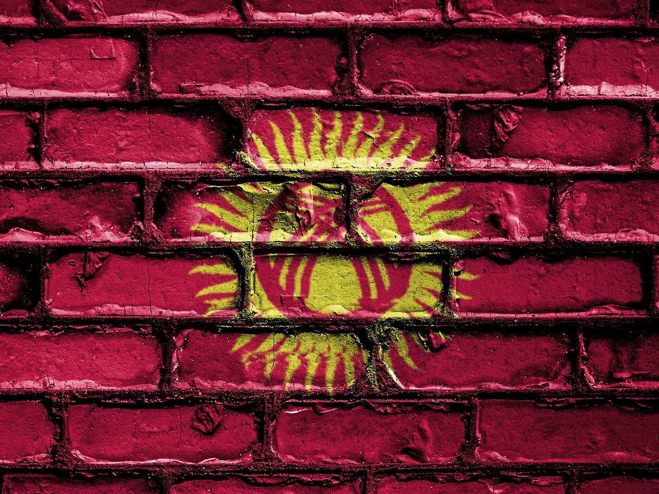 Flag of Kyrgyzstan (photo credit: David_Peterson via pixabay) Flag of Kyrgyzstan (photo credit: David_Peterson via pixabay)