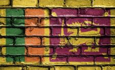 Flag of Sri Lanka (photo credit: David_Peterson via pixabay)
